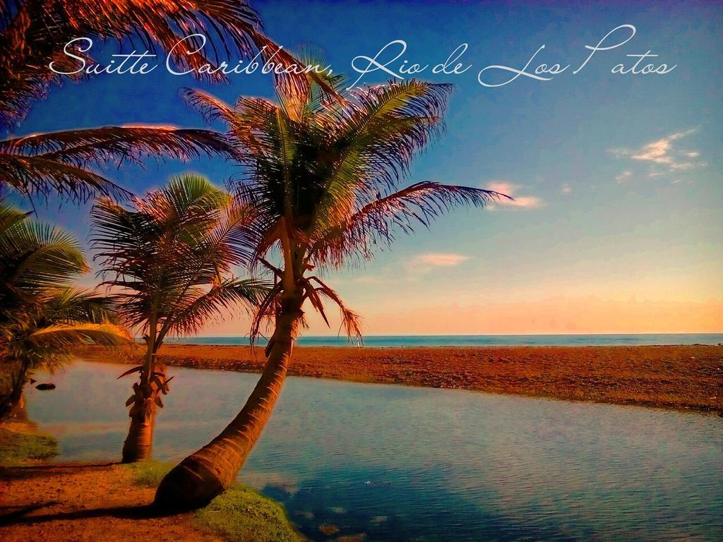 Bed & Breakfast La Mami River Beach - Caribean House Los Patos