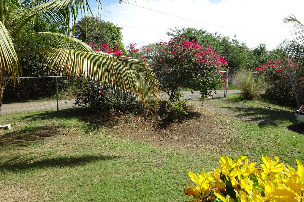 Tranquility By The Sea * Vieques