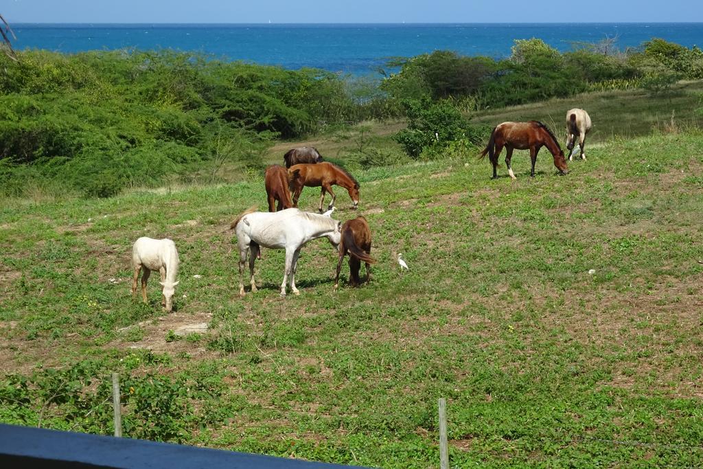 Holiday home Tranquility By The Sea Vieques