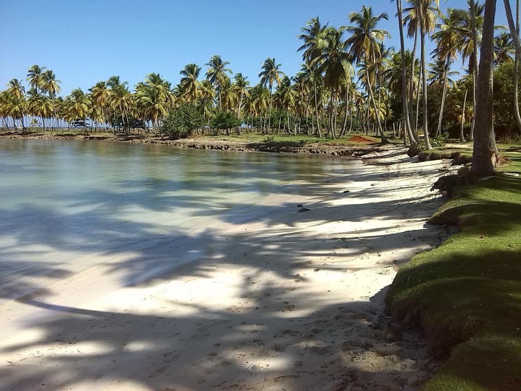 21 Palms Las Galeras