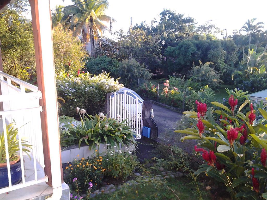 Appartement Les Bougainvilliers Vue Mer Guest house