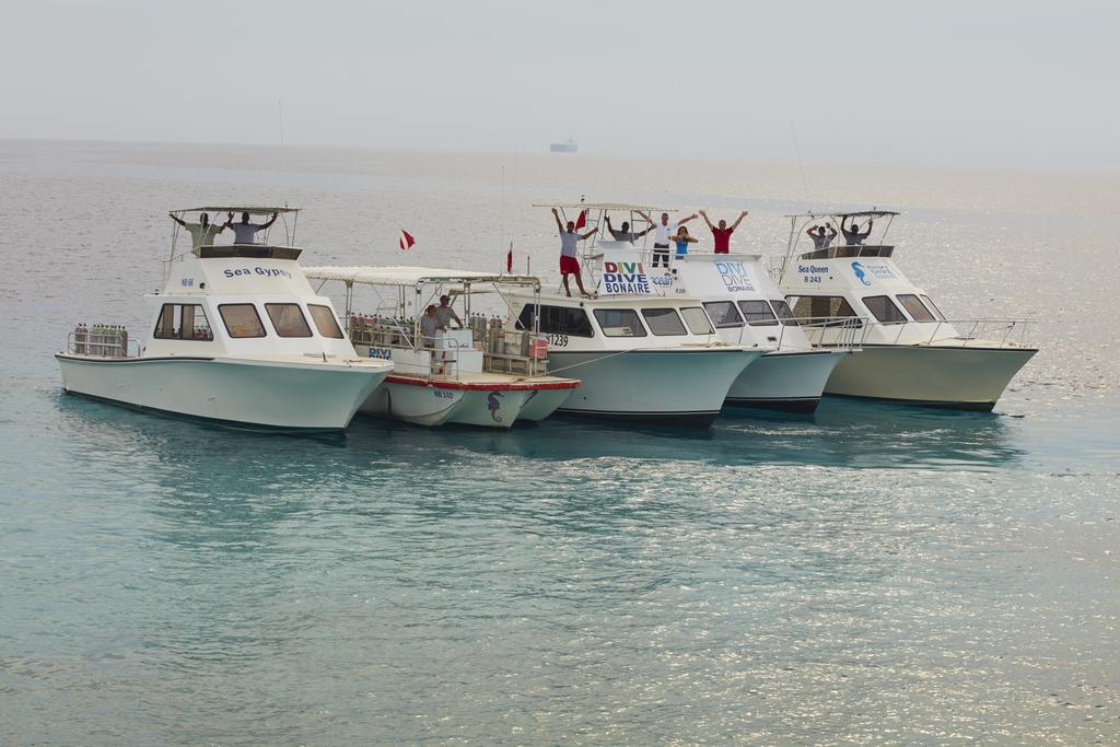 Divi Flamingo Resort Kralendijk