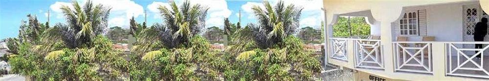 Hotel Willowgate Negril