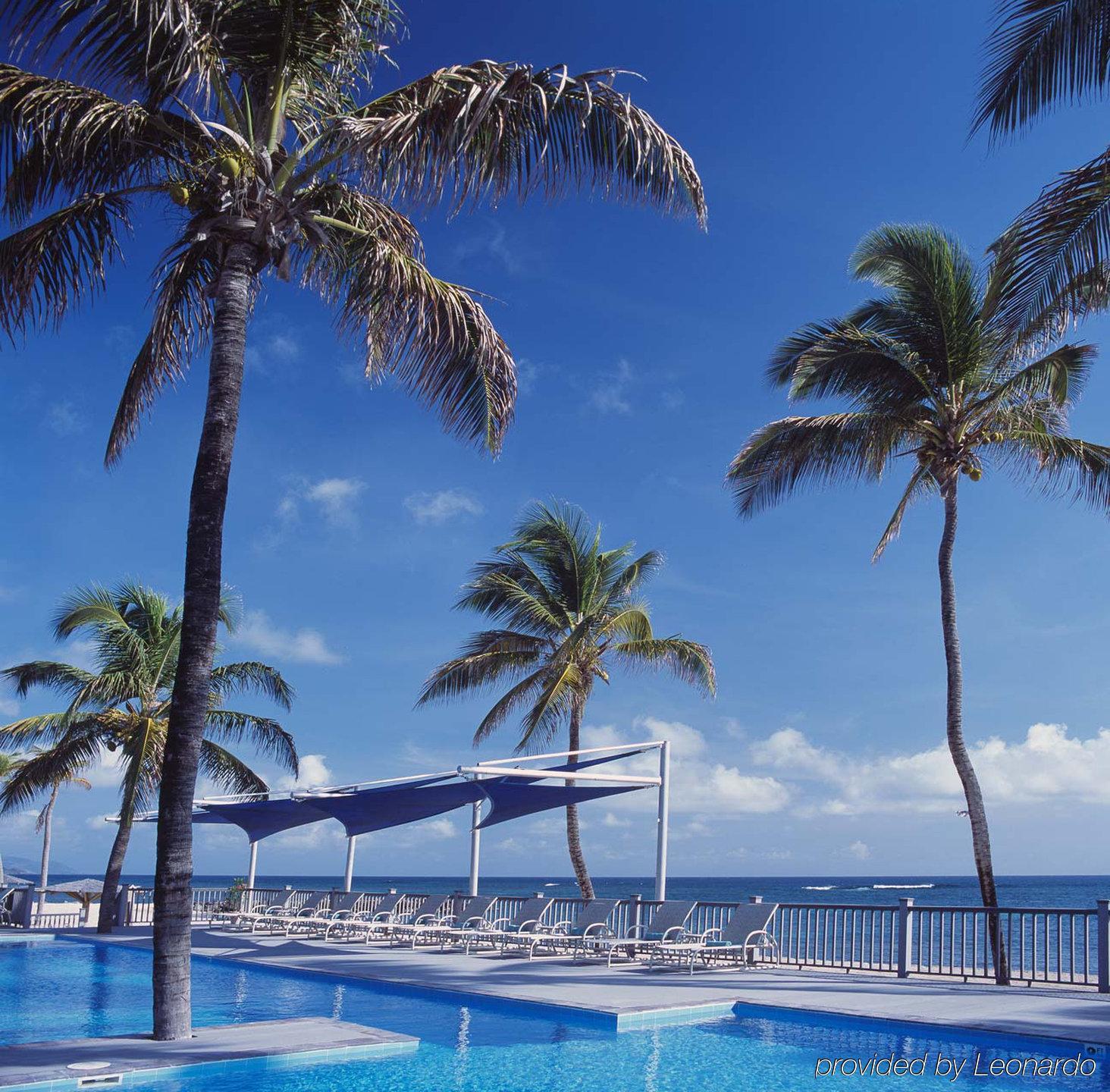 Resort Nisbet Plantation Club Newcastle