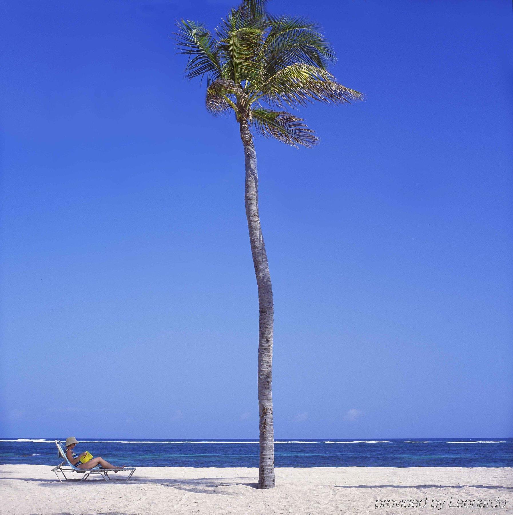 Nisbet Plantation Club 4*