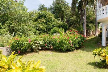 Roma Hotel Montego Bay