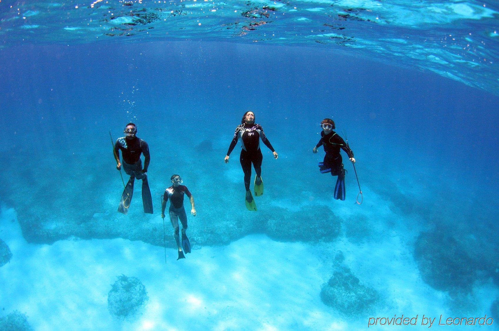 Bimini Big Game Club & Marina Resort 4*
