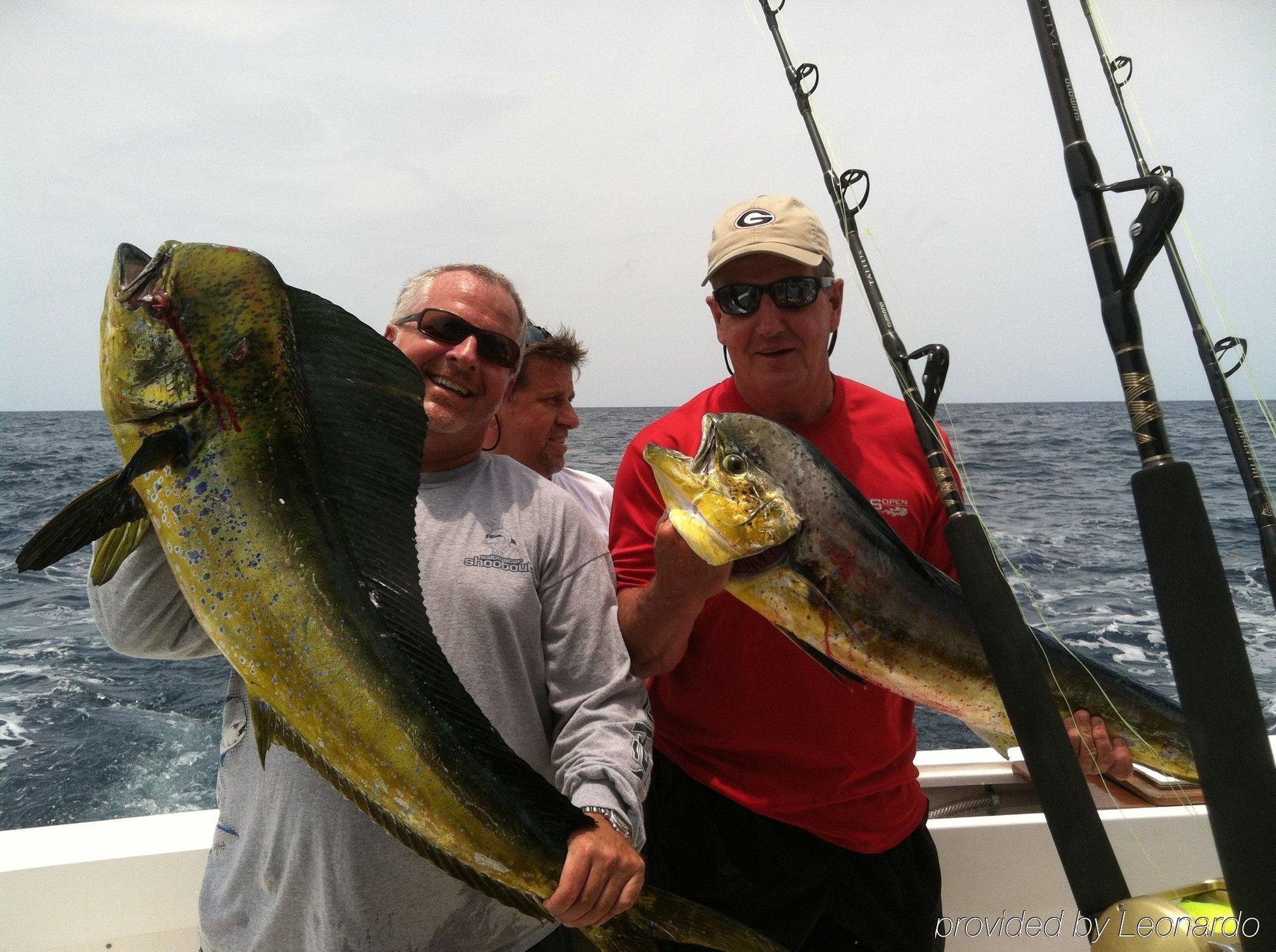 Bimini Big Game Club & Marina