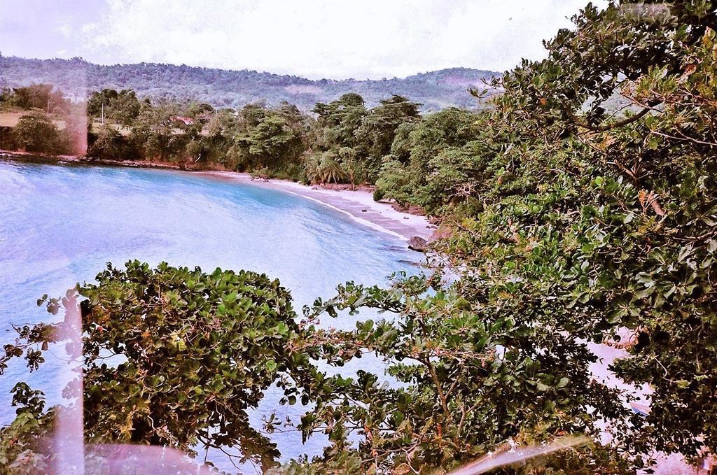 Boston Guest house Port Antonio