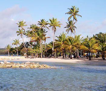 Le Grand Large Sainte-Anne (Grande-Terre)