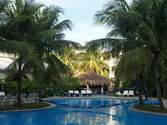 The Coconut Palms * Cabarete