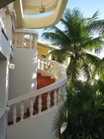 The Coconut Palms * Cabarete