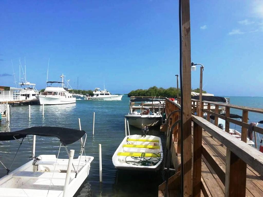 La Jamaca - Island Vibe Inn