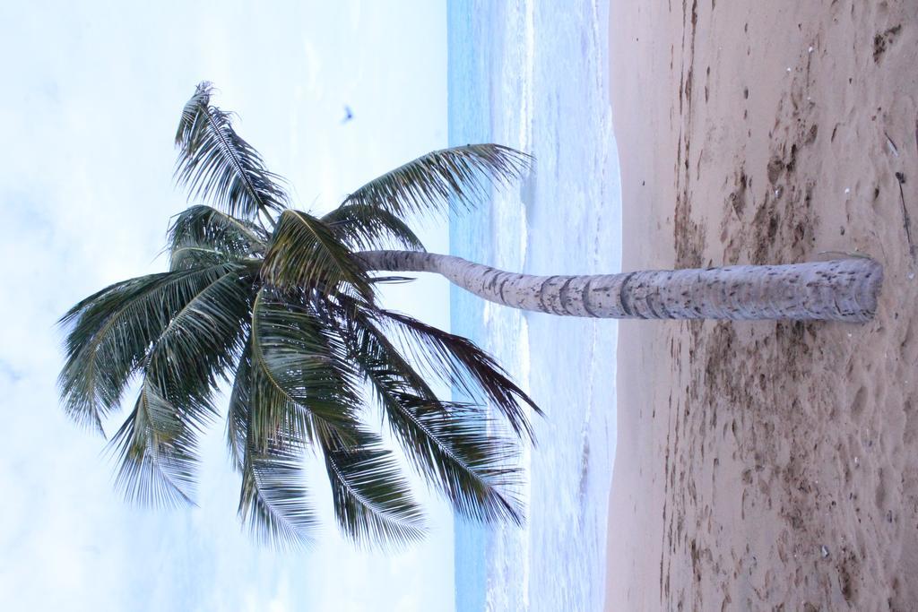 Del Mar Eco Lodging * Luquillo