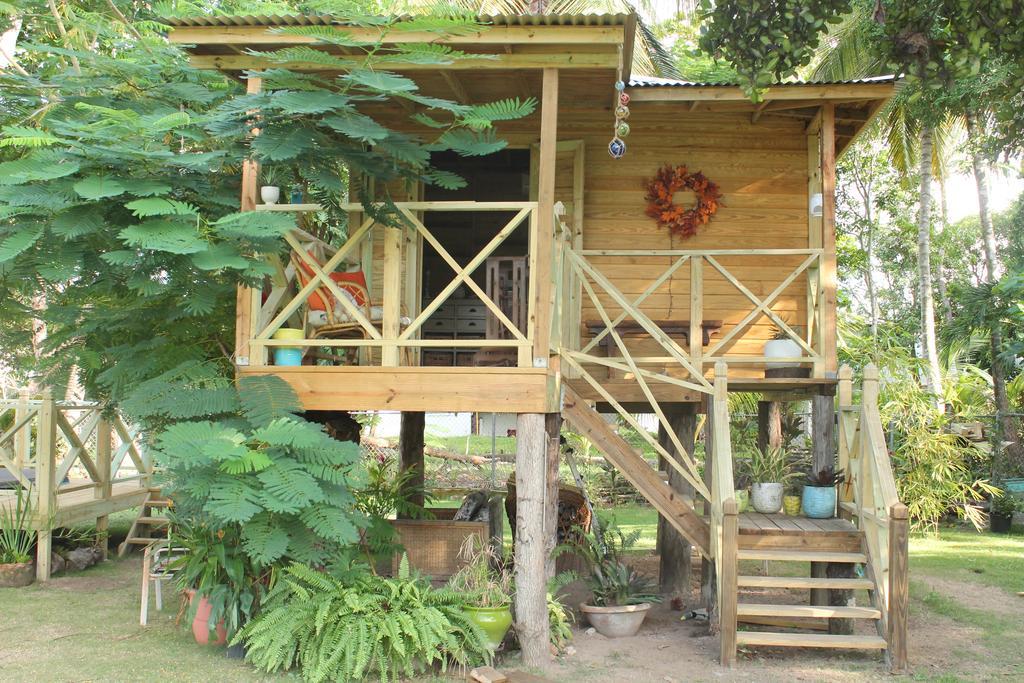 Del Mar Eco Lodging * Luquillo