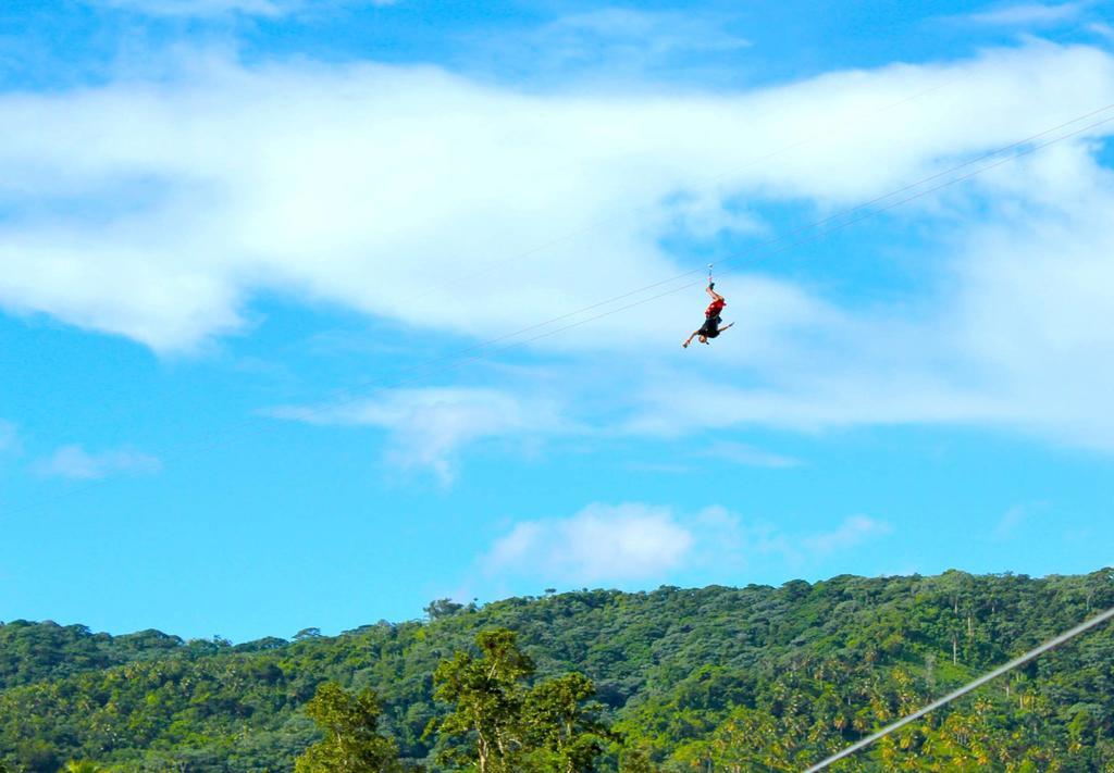 Dominican Tree House Village * Samana