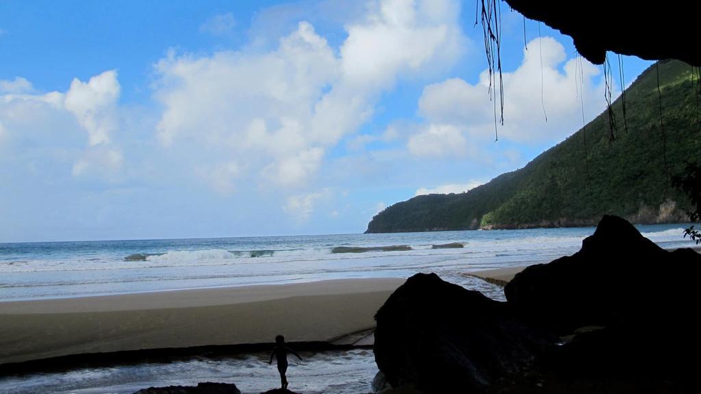 Dominican Tree House Village Alojamento Samana