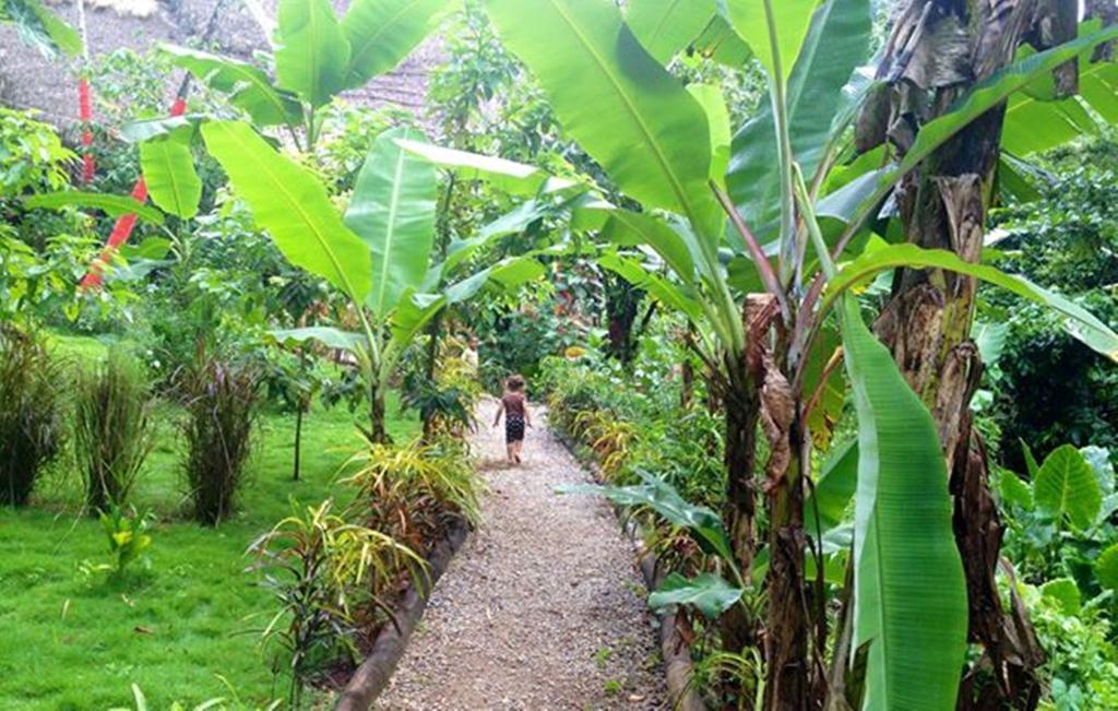 Dominican Tree House Village