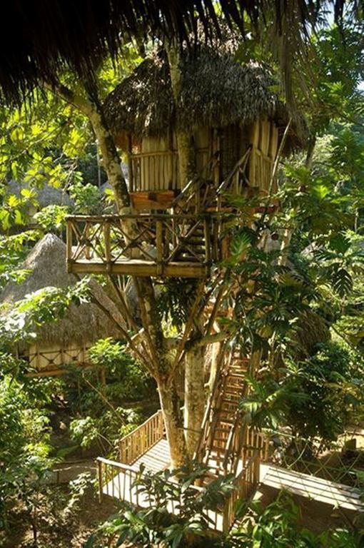 Dominican Tree House Village Alojamento *