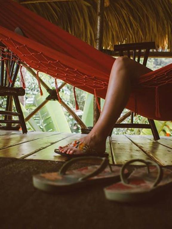 Dominican Tree House Village Alojamento Samana