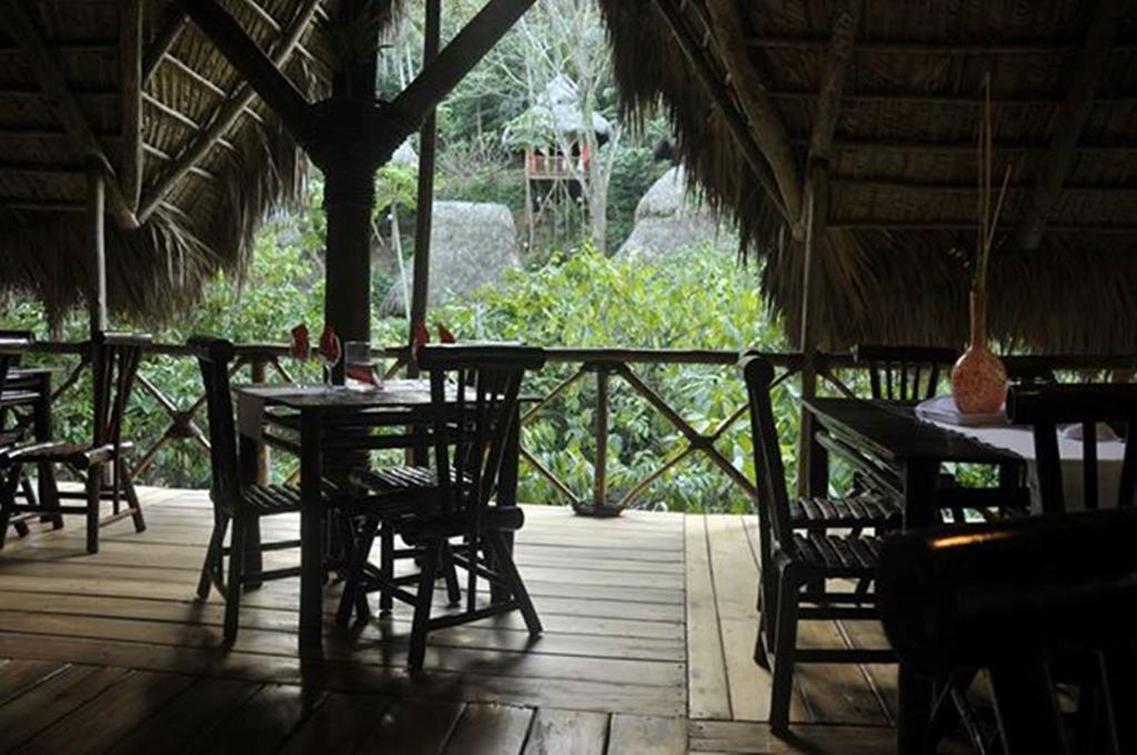 Dominican Tree House Village Alojamento Samana