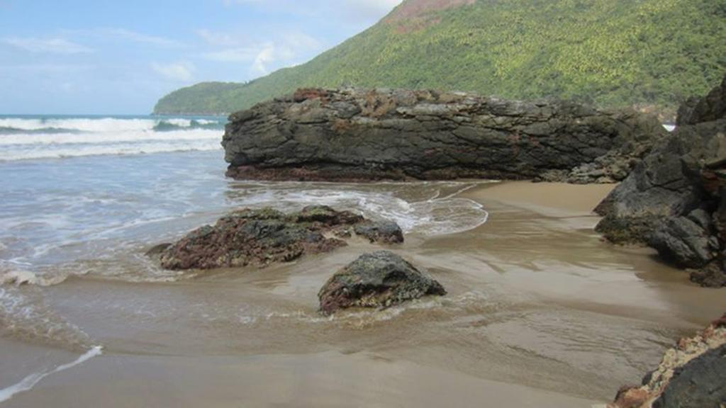 Dominican Tree House Village Samana