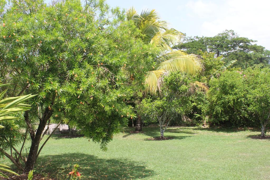 Guest house Loyola