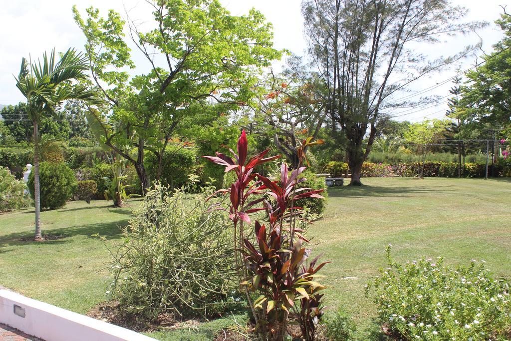 Loyola Guest house Ocho Rios