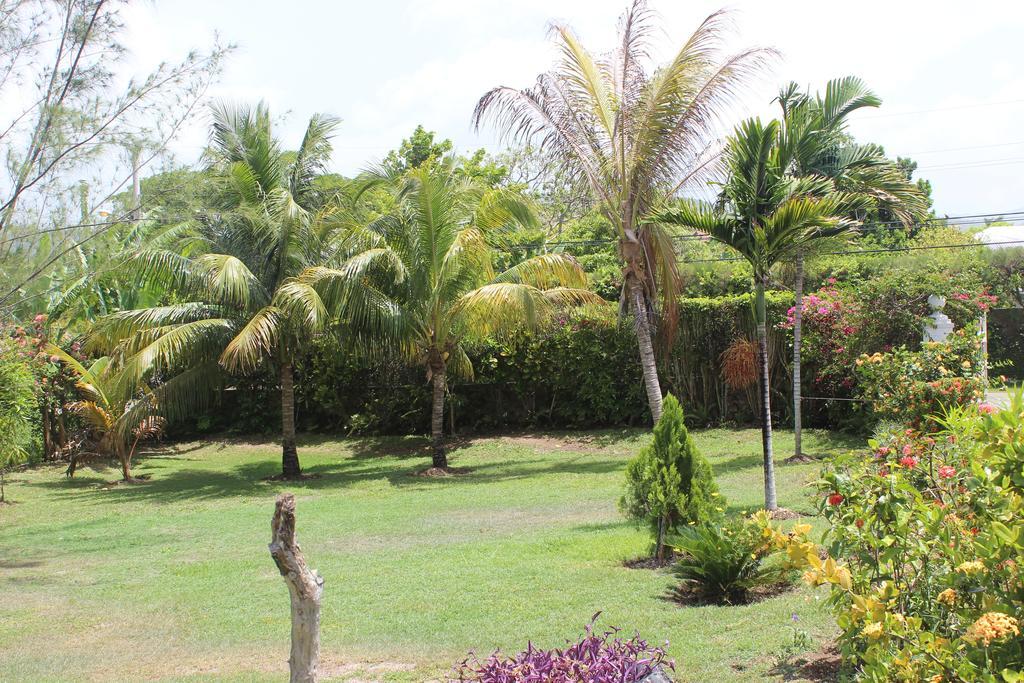 Loyola 3* Ocho Rios