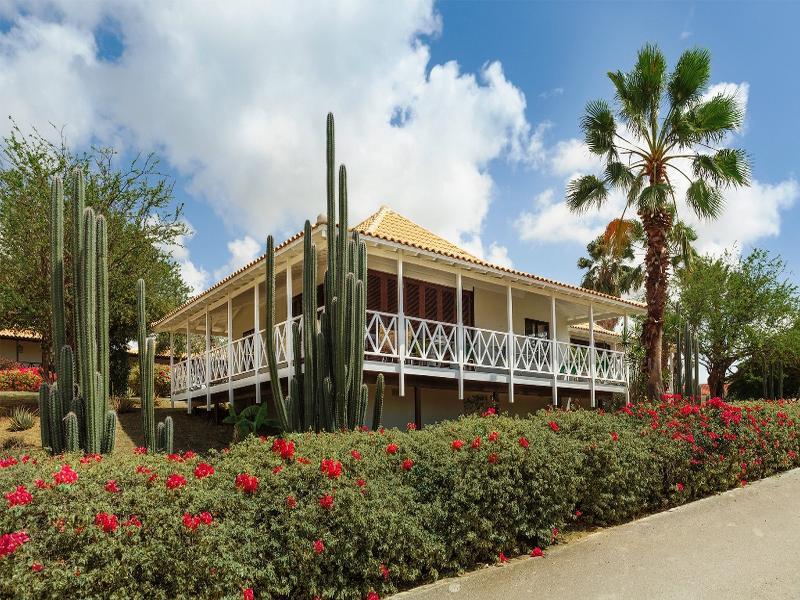 Papagayo (adults Only) 4* Willemstad