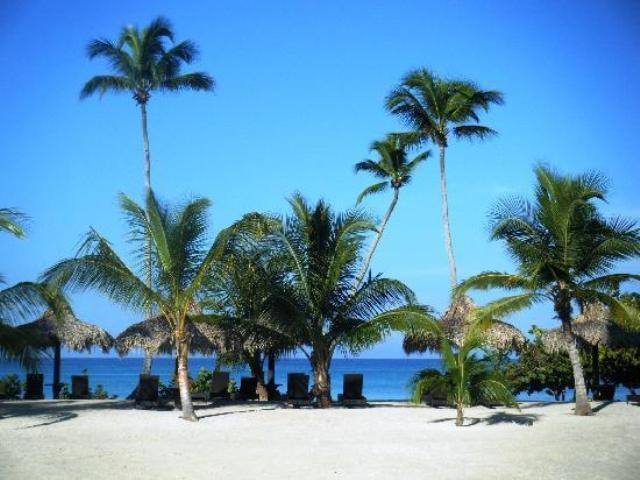 In Cadaques Caribe Bayahibe