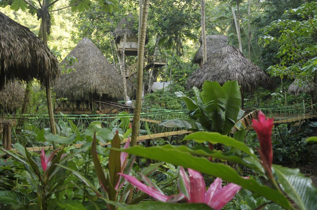 Alojamento Dominican Tree House Village Samana