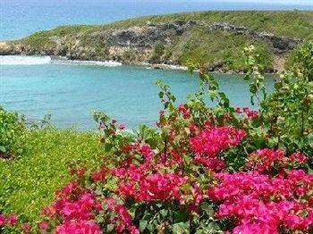 Amaudo Saint-Francois (Grande-Terre)