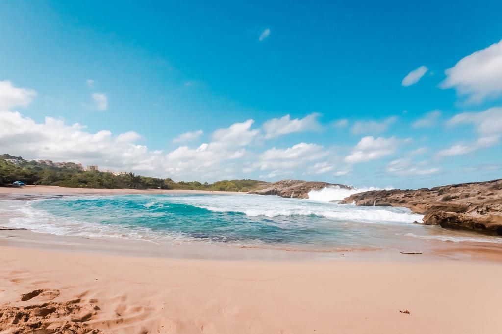 Atenas Manati