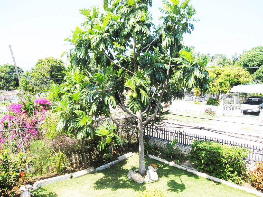 Casa de férias Paradise Palms Jamaica Vacation *