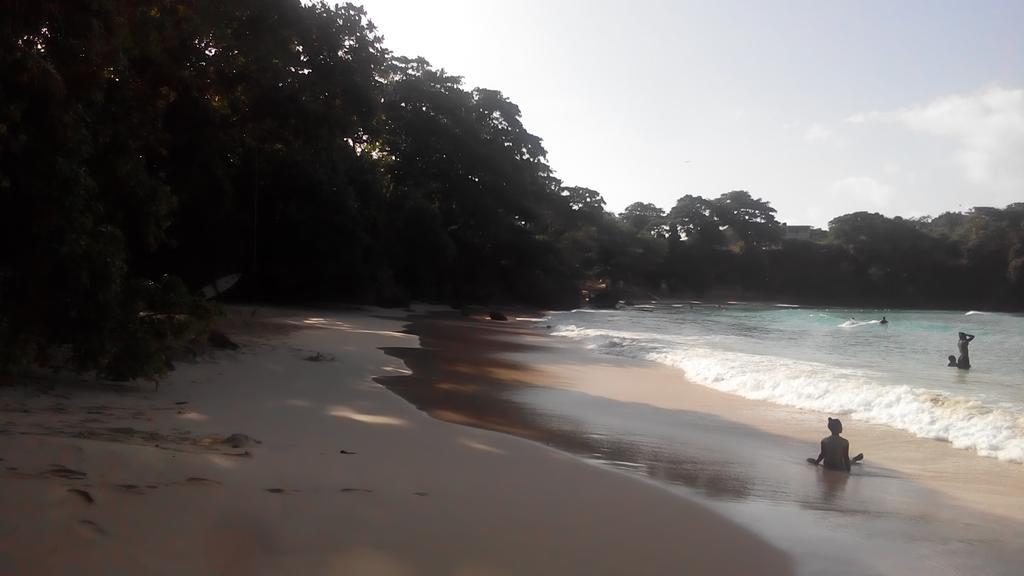 Resort La Familia And Natural Farm Port Antonio