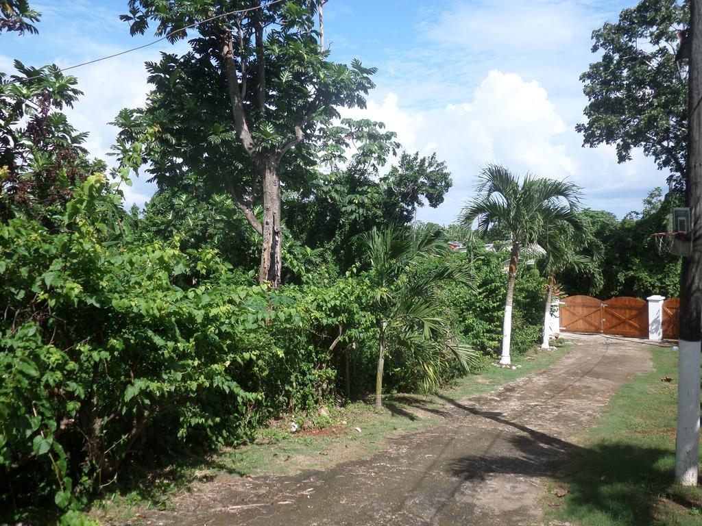 La Familia And Natural Farm Port Antonio