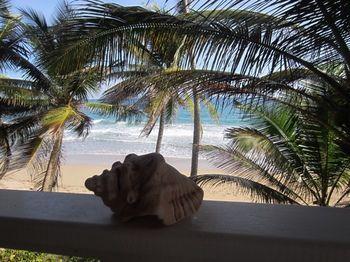 Hotel Petite Anse