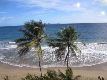Petite Anse