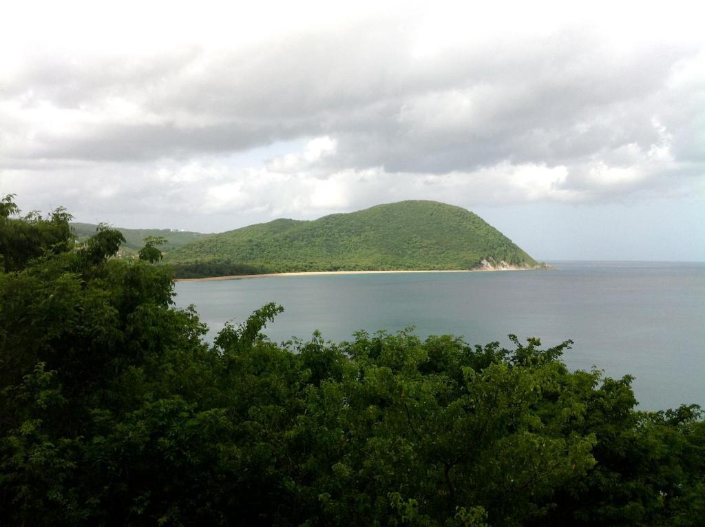 - Habitation Grande Anse Deshaies