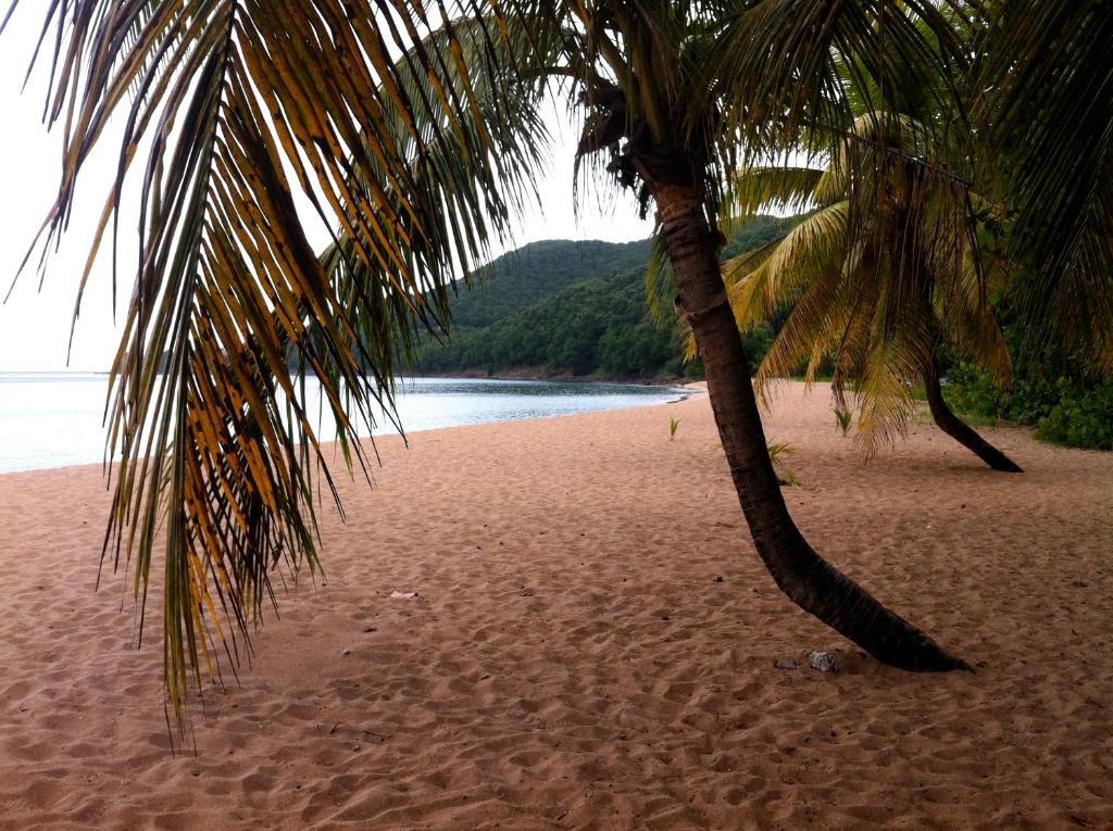 - Habitation Grande Anse 3*