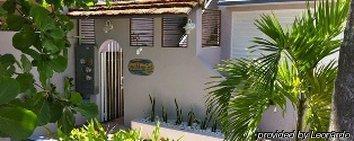 King Sling Room, Between Pool And Jacuzzi - Enjoy! (Adults Only) Apartment San Juan