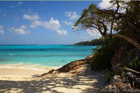 Paradise Cove Resort Long Bay Village