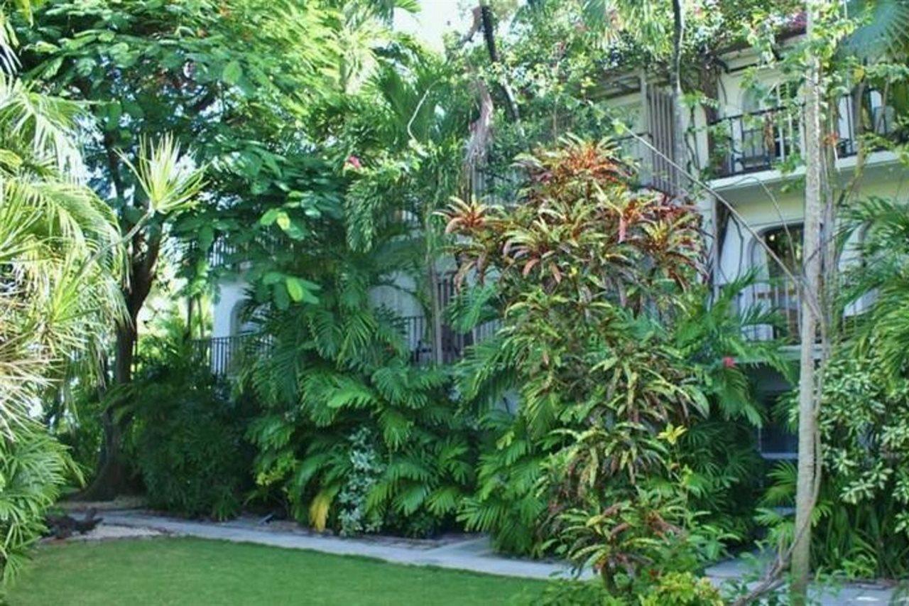 Resort Siboney Club