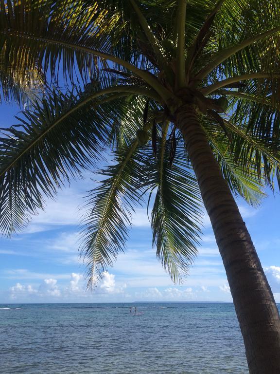 Guest house Be On The Sainte-Anne (Grande-Terre)
