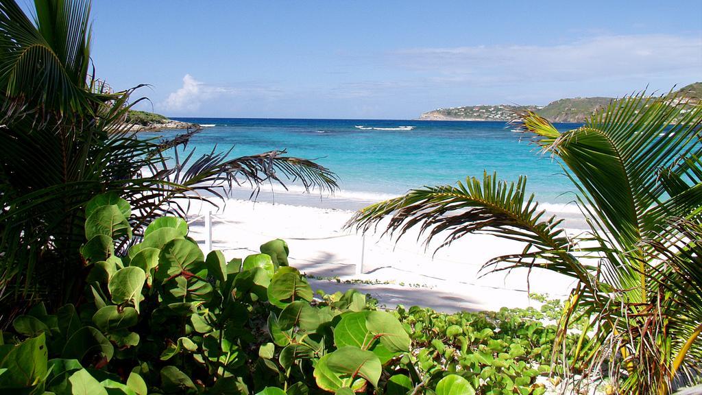 Hotel Tropical St Barth Gustavia