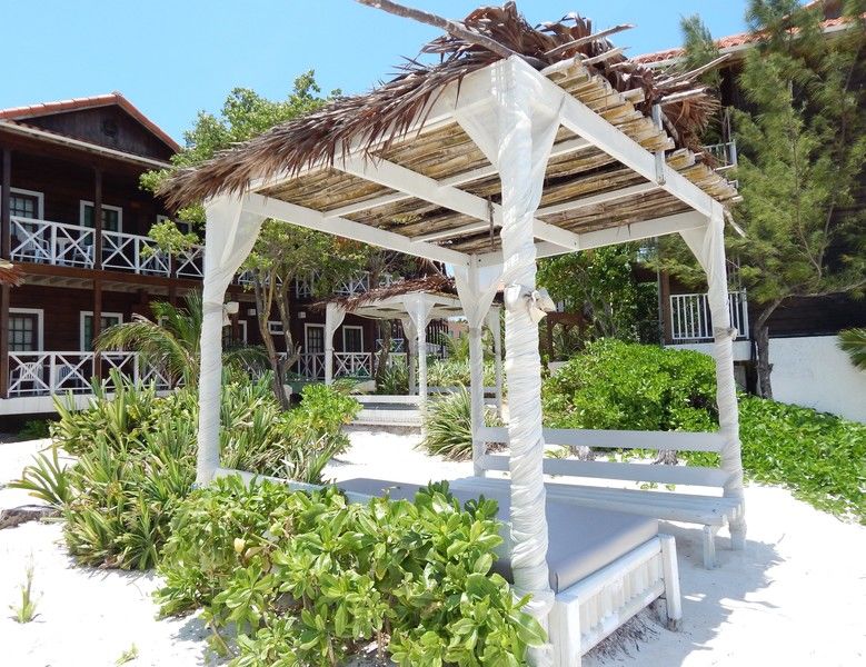 Mangos Jamaica Adults Only