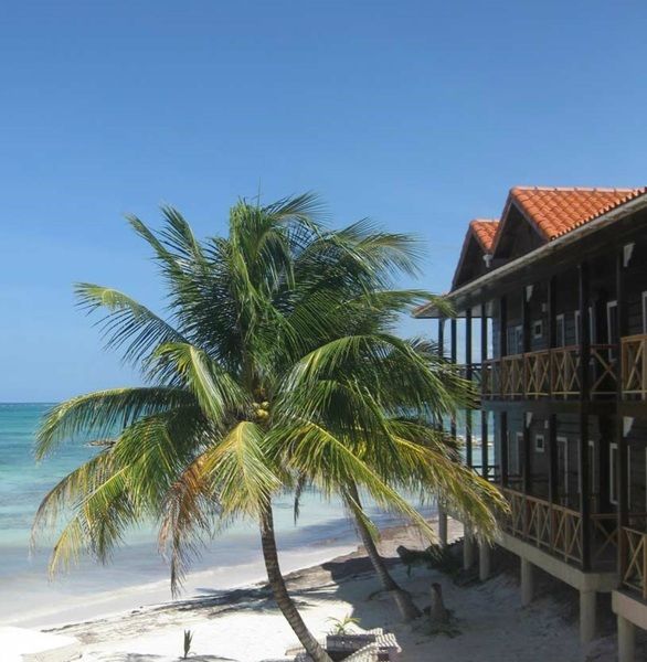 Hotel Mangos Jamaica Adults Only