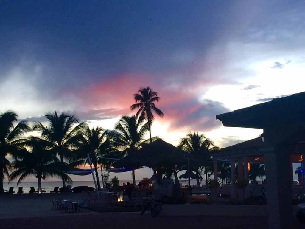Cadaques Caribe Pez 103 Bayahibe