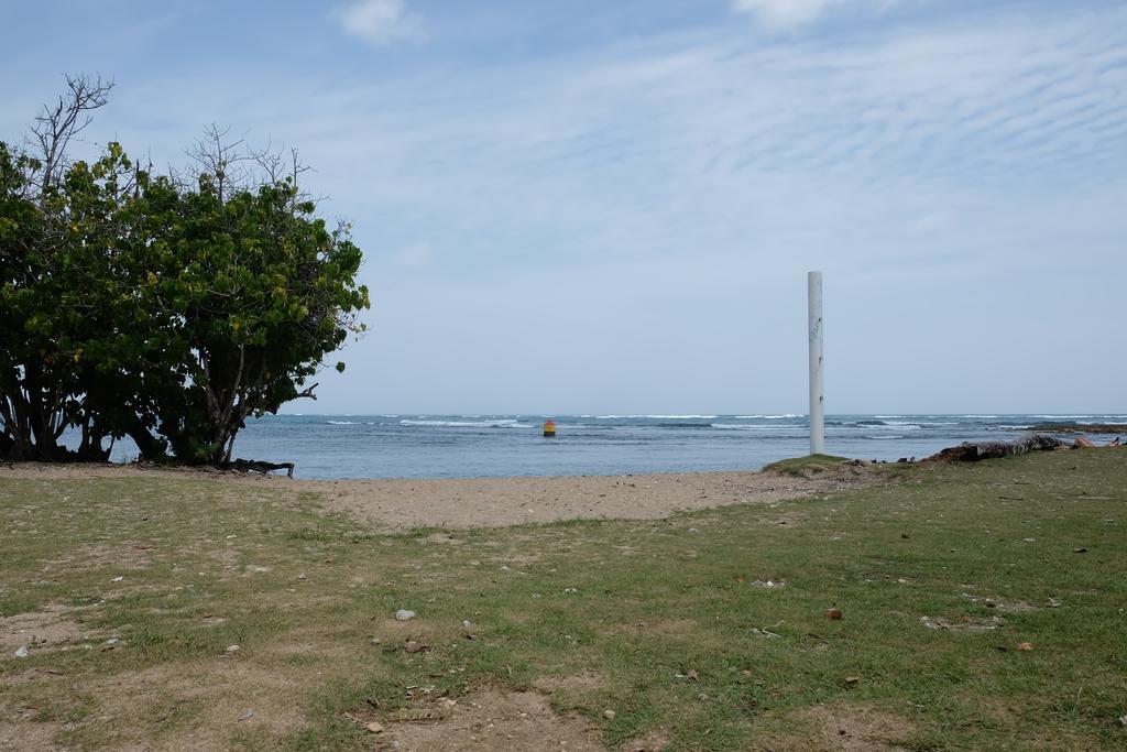 Paradigm Villa Dorado